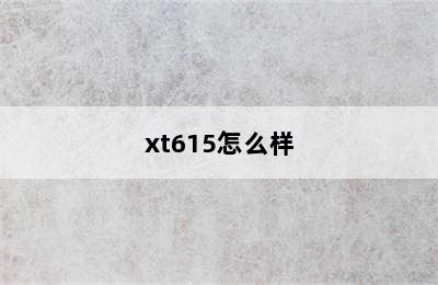 xt615怎么样