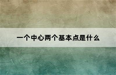 一个中心两个基本点是什么