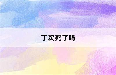 丁次死了吗