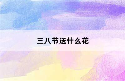 三八节送什么花