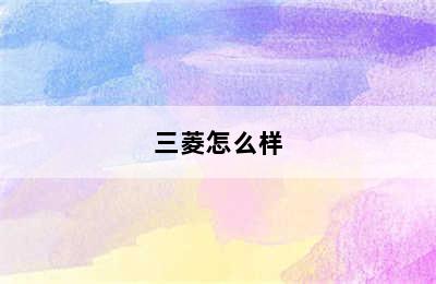 三菱怎么样