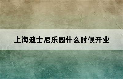 上海迪士尼乐园什么时候开业