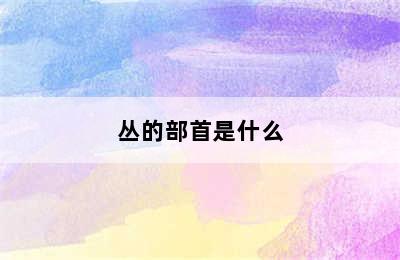 丛的部首是什么