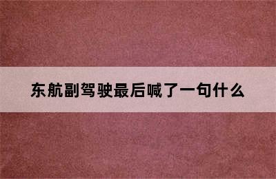 东航副驾驶最后喊了一句什么