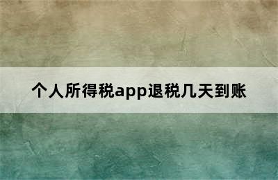 个人所得税app退税几天到账