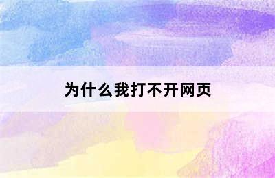 为什么我打不开网页