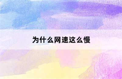 为什么网速这么慢