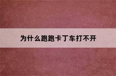 为什么跑跑卡丁车打不开