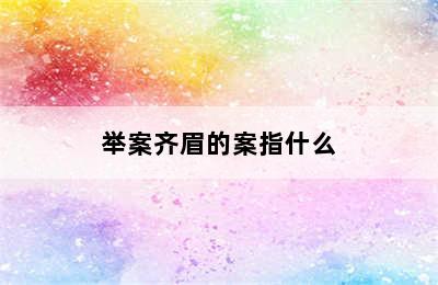 举案齐眉的案指什么