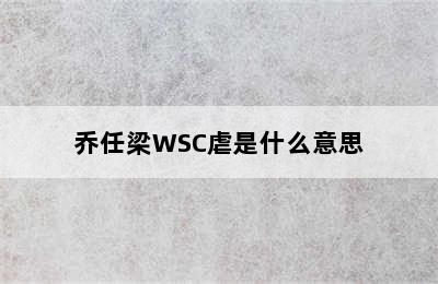 乔任梁WSC虐是什么意思