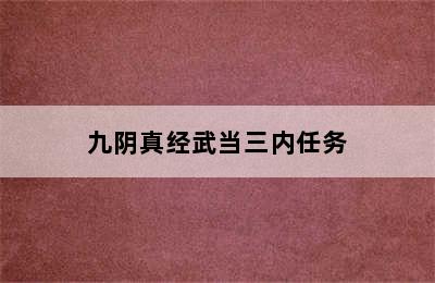 九阴真经武当三内任务