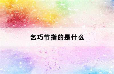 乞巧节指的是什么