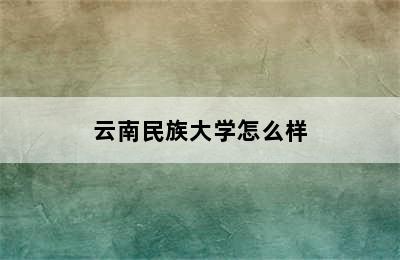 云南民族大学怎么样