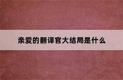 亲爱的翻译官大结局是什么