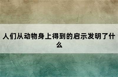 人们从动物身上得到的启示发明了什么