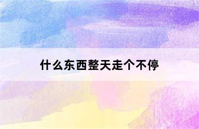 什么东西整天走个不停