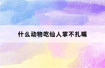 什么动物吃仙人掌不扎嘴