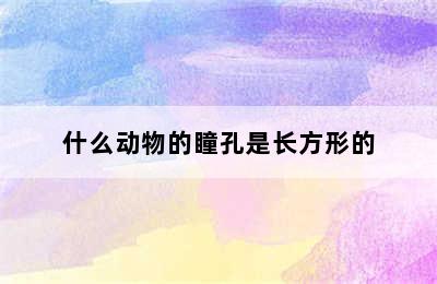 什么动物的瞳孔是长方形的