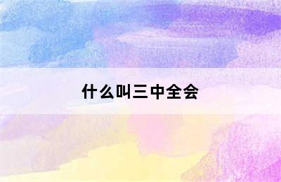 什么叫三中全会