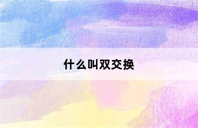 什么叫双交换