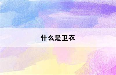 什么是卫衣