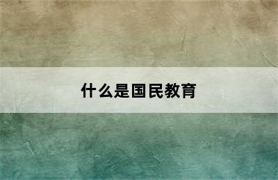 什么是国民教育