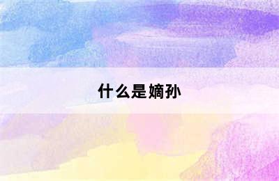 什么是嫡孙