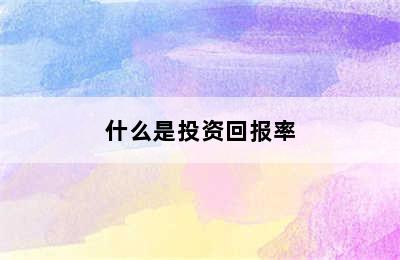 什么是投资回报率