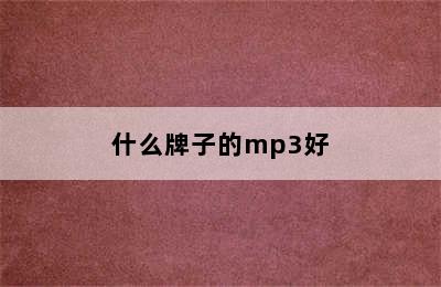 什么牌子的mp3好