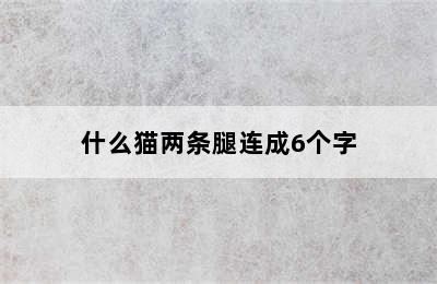 什么猫两条腿连成6个字