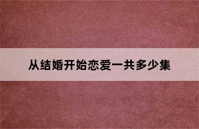 从结婚开始恋爱一共多少集