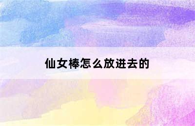 仙女棒怎么放进去的