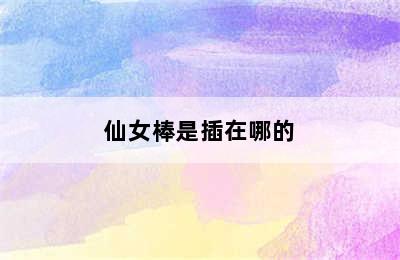 仙女棒是插在哪的