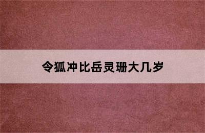 令狐冲比岳灵珊大几岁