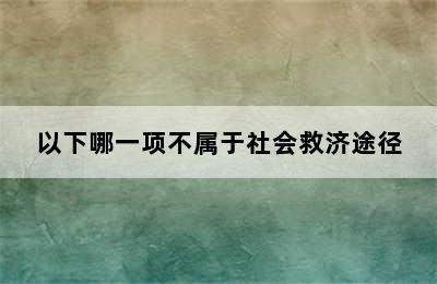 以下哪一项不属于社会救济途径