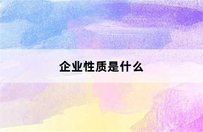 企业性质是什么