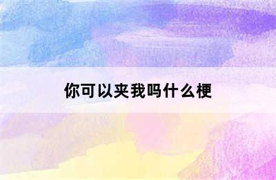 你可以夹我吗什么梗