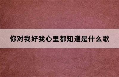 你对我好我心里都知道是什么歌