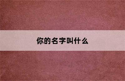 你的名字叫什么