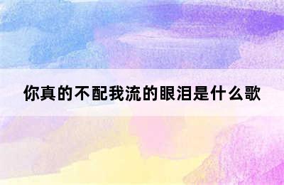 你真的不配我流的眼泪是什么歌