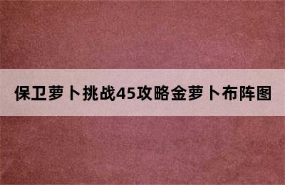 保卫萝卜挑战45攻略金萝卜布阵图