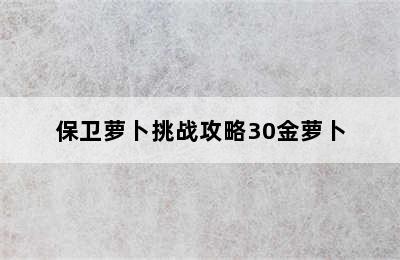 保卫萝卜挑战攻略30金萝卜