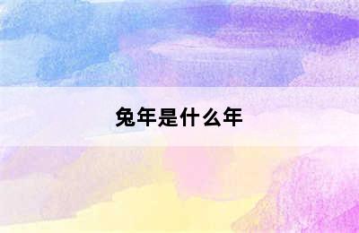 兔年是什么年