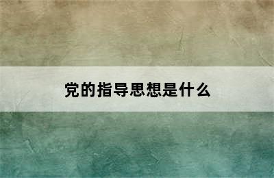 党的指导思想是什么