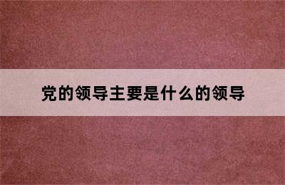 党的领导主要是什么的领导