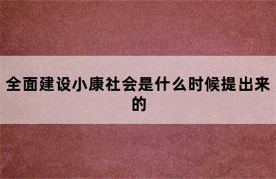 全面建设小康社会是什么时候提出来的