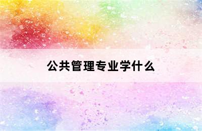 公共管理专业学什么