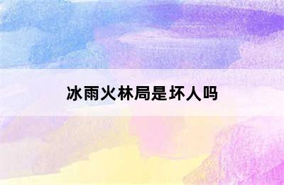 冰雨火林局是坏人吗