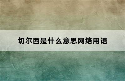 切尔西是什么意思网络用语