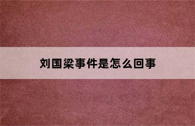 刘国梁事件是怎么回事